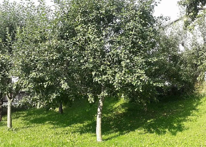Landhof Sedlmair Gilching