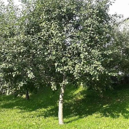 Landhof Sedlmair Gilching